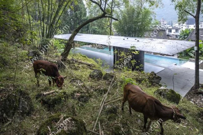 BIM Architecture | Xiyue Yunlu Yoga Pavilion and Swimming Pool (Phase II)/Liu Yuyang Architectural Firm