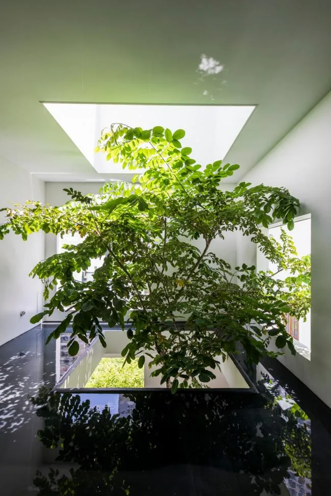 BIM Architecture | Sky Home, Stars and Greenery Create a Spiritual Residence/MIA Design Studio