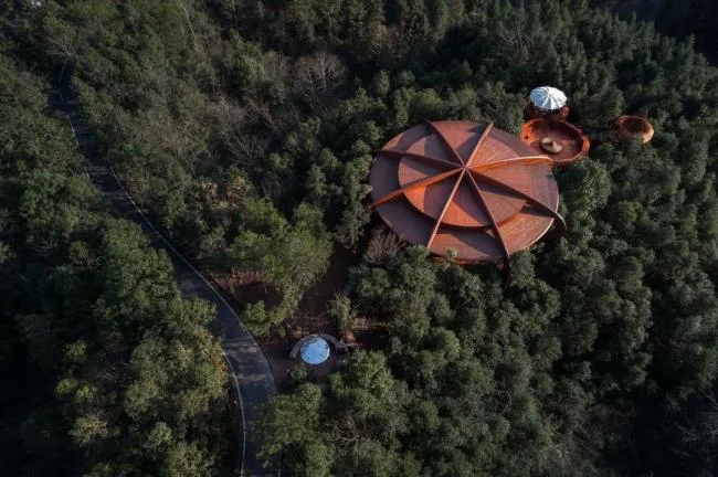 BIM Architecture | Like an Adventure in the Jungle: Anhui Qiyunshan Freedom Home Tree House "UFO"/Jinglan Architecture