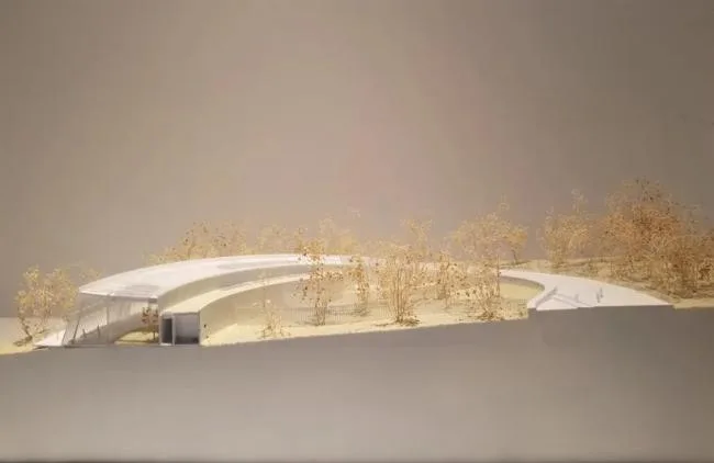 BIM Architecture | Chengdu Giant Panda International Research and Breeding Center Panda Pavilion Proposal/EID Architecture Firm