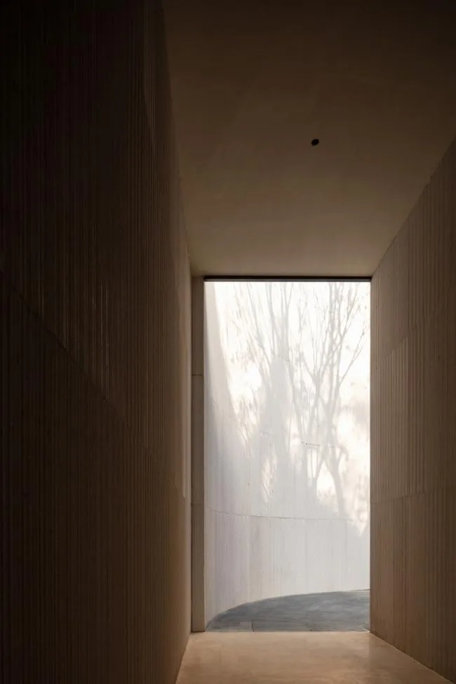 BIM Architecture | Reading under the Lake, Time for Tree Shadows to Pass/Water Phase Design