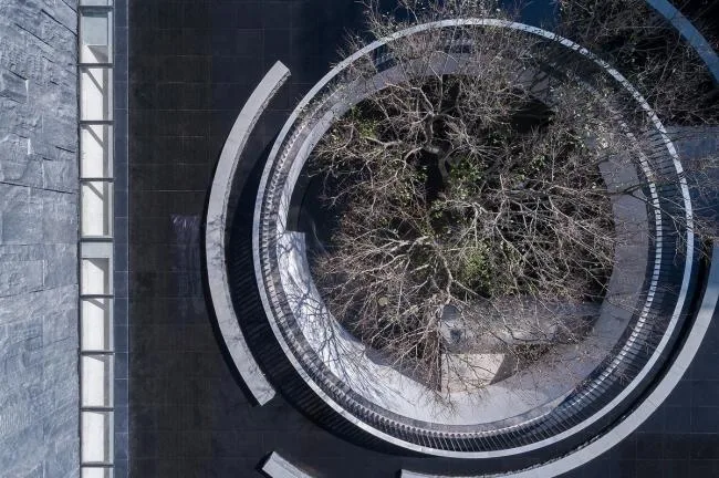 BIM Architecture | Reading under the Lake, Time for Tree Shadows to Pass/Water Phase Design