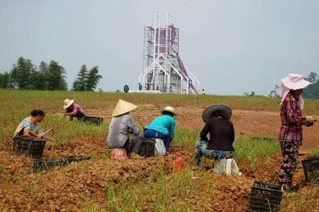 BIM Architecture | Chengdu Sino French Science and Technology Park Church, integrated into Purple Lavender Manor
