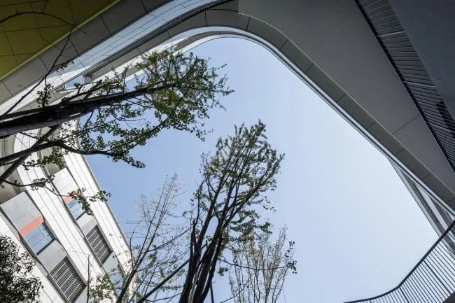 BIM Architecture: Floating Stereoscopic Campus at Zhejiang University School of Education Affiliated Middle School by Zhejiang University Architectural Design and Research Institute-BIM WORLD