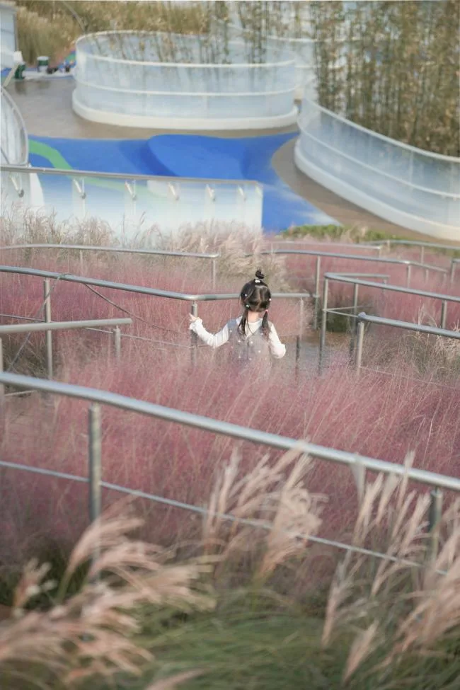 BIM Architecture | Three Dimensional Flowing Garden - Xuhui Doughnut Kindergarten/Tianhua Architecture Creation Studio