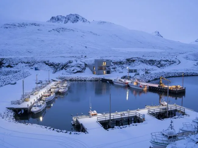 BIM Architecture | The Giant Stone Guarding the Fjord: East Borgafjord Visitor Center/Andersen& Sigurdsson Architects