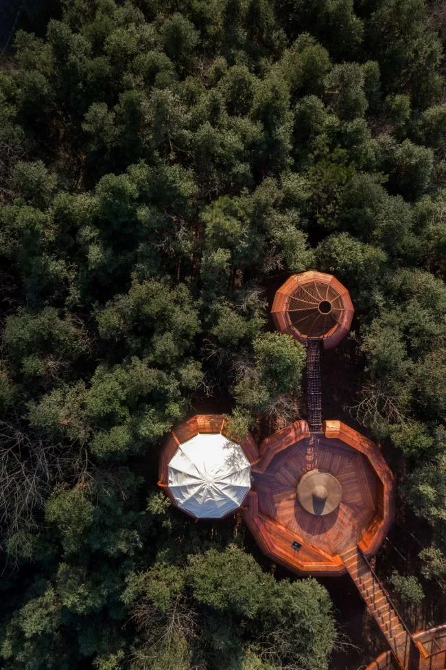 BIM Architecture | Like an Adventure in the Jungle: Anhui Qiyunshan Freedom Home Tree House "UFO"/Jinglan Architecture