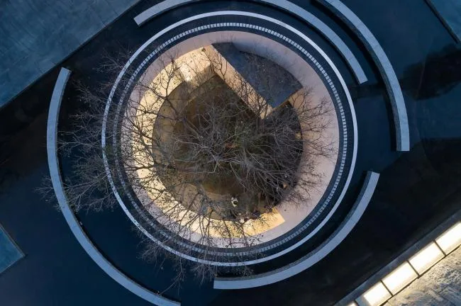 BIM Architecture | Reading under the Lake, Time for Tree Shadows to Pass/Water Phase Design
