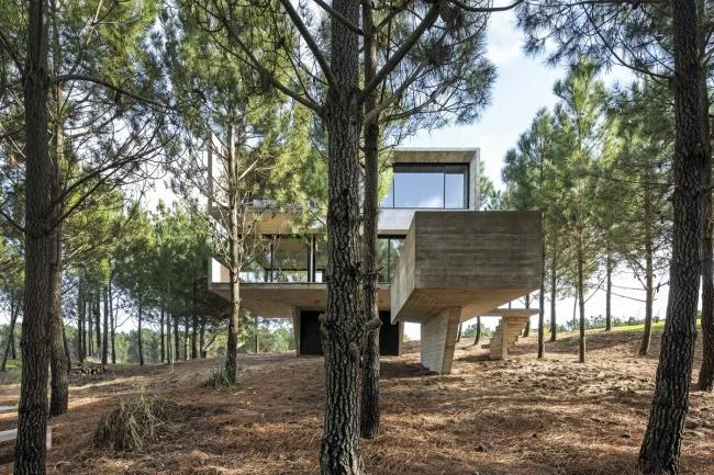 BIM Architecture | Light and Shadow Dance, Simple Forest Dwelling Like Wood and Stone/Luciano Kruk