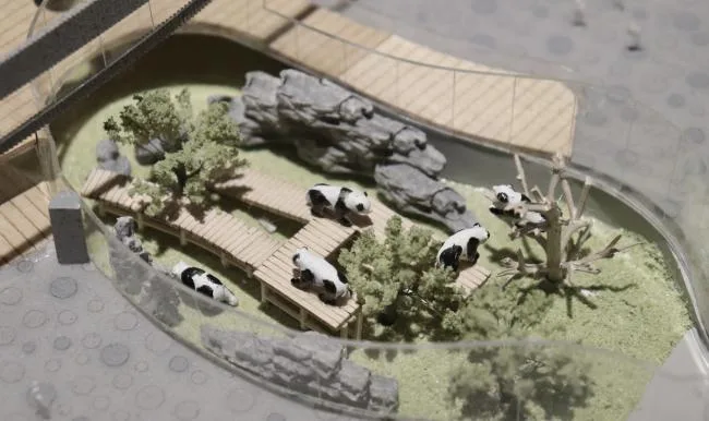 BIM Architecture | Tianhua Architecture Creation Studio announces that the 'Giant Panda Base Star Production Room' has entered the construction drawing stage