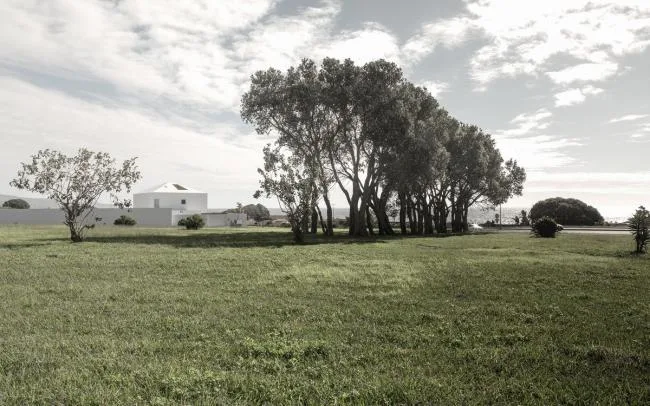 BIM Architecture | Looking up at the Sky in the Surrounding Reality: NVC Residential/Salworks in Portugal