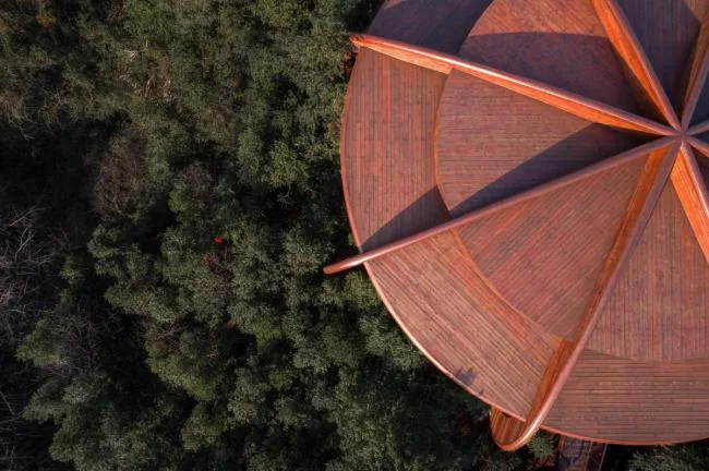 BIM Architecture | Like an Adventure in the Jungle: Anhui Qiyunshan Freedom Home Tree House "UFO"/Jinglan Architecture