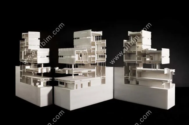BIM Architecture | Shenzhen Nanshan Foreign Language School Kehua School/Link Art Architectural Firm