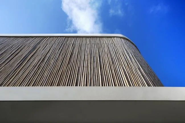 BIM Architecture | Modern Home in the Tropics: "Bamboo Curtain" Residence
