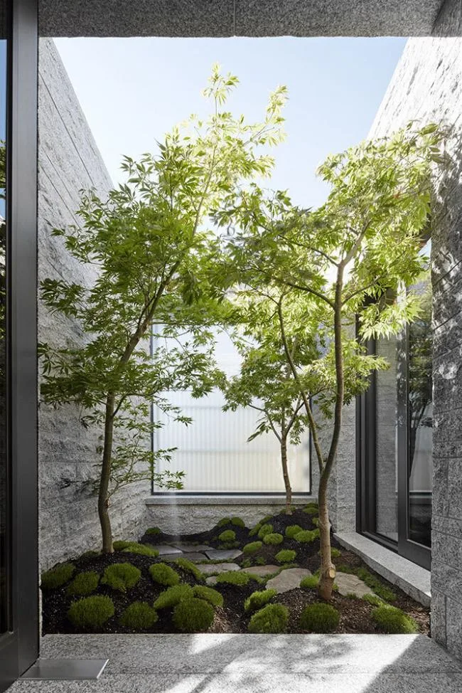 BIM Architecture | ethereal and lightweight: Amadale House/B.E Architecture