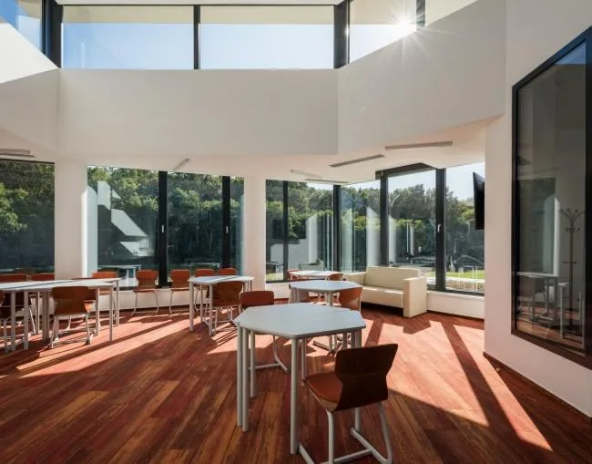 BIM Architecture | Embedding in Forests - Debrecen International School/BORD Architecture Studio