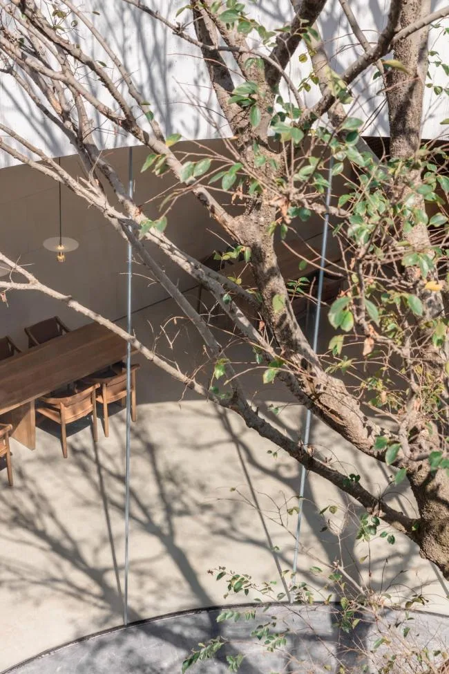 BIM Architecture | Reading under the Lake, Time for Tree Shadows to Pass/Water Phase Design