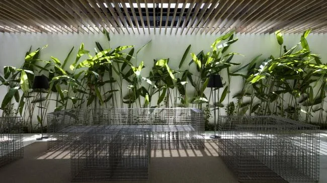 BIM Architecture | Sky Home, Stars and Greenery Create a Spiritual Residence/MIA Design Studio
