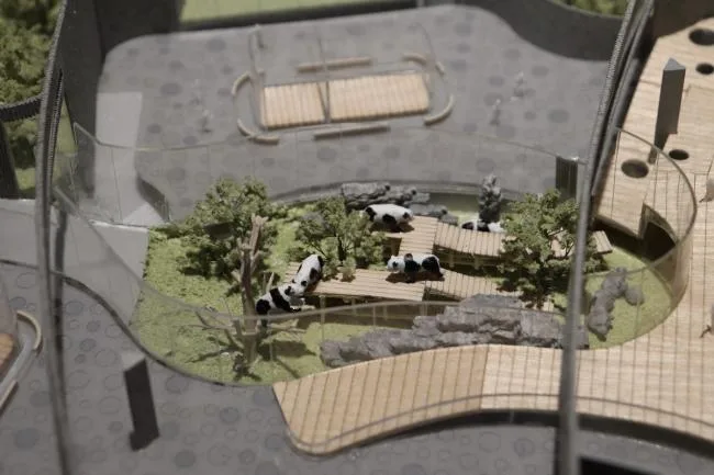 BIM Architecture | Tianhua Architecture Creation Studio announces that the 'Giant Panda Base Star Production Room' has entered the construction drawing stage