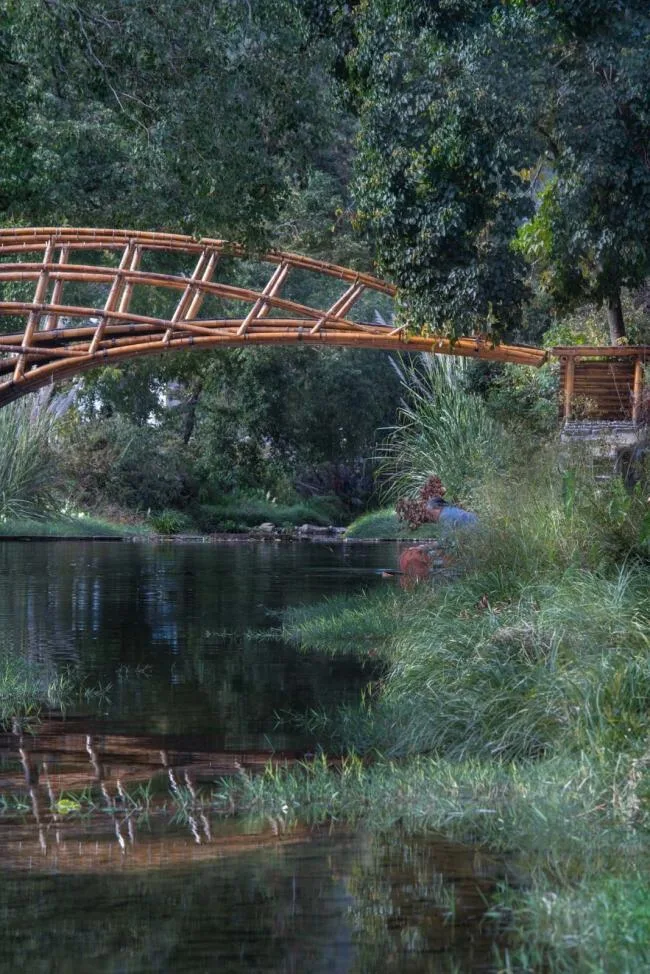 BIM Architecture | Suspended Shore Flying Bridge/Come to Architectural Design Studio