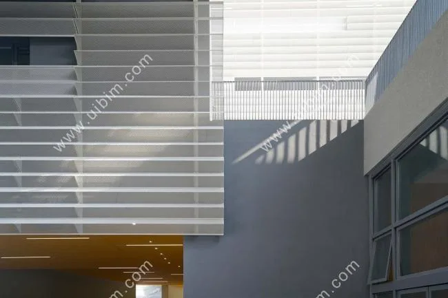 BIM Architecture | Shenzhen Nanshan Foreign Language School Kehua School/Link Art Architectural Firm