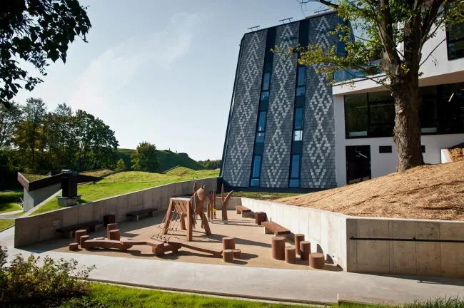 BIM Architecture | Nesting Triangular Grass Slope Top 'Small House' - East Latvia Creative Service Center/SAALS