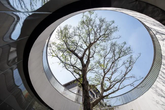 BIM Architecture: Reading Beneath the Lake with Water Phase and Tree Shadow Designs-BIM WORLD