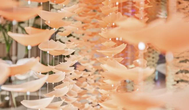 BIM Architecture | Encountering Petals/SODA Architecture Firm