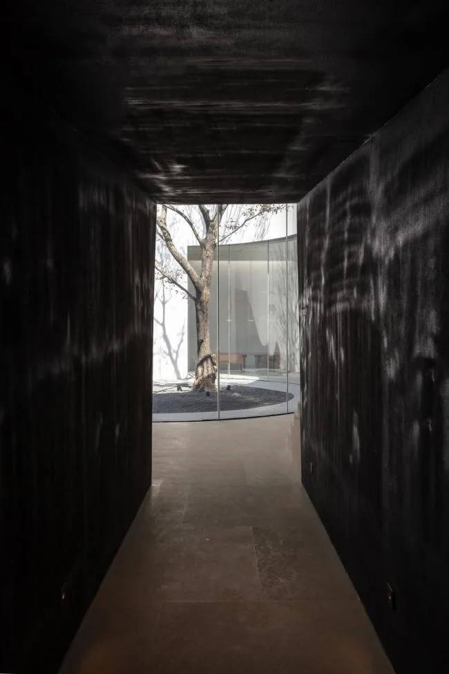 BIM Architecture | Reading under the Lake, Time for Tree Shadows to Pass/Water Phase Design