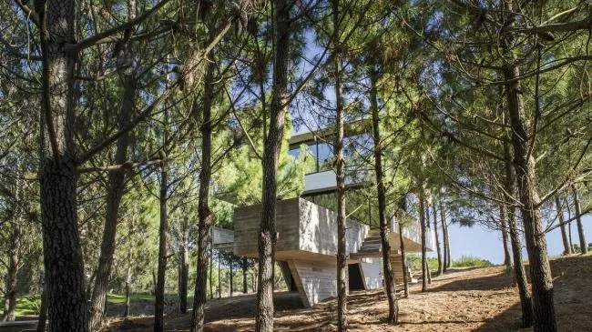BIM Architecture | Light and Shadow Dance, Simple Forest Dwelling Like Wood and Stone/Luciano Kruk