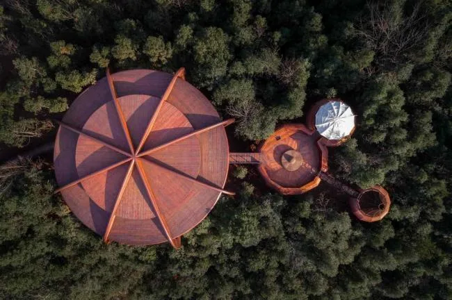 BIM Architecture: Exploring Anhui Qiyunshan's Freedom Home Tree House