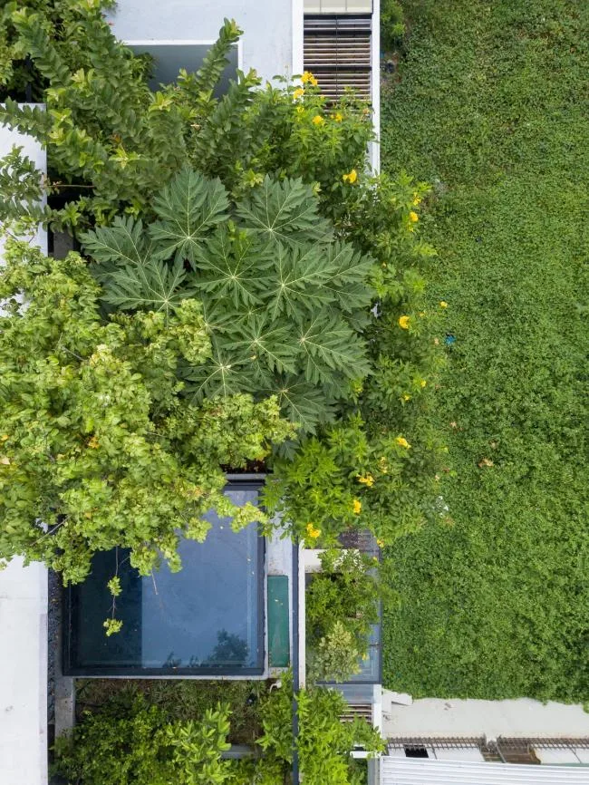 BIM Architecture | Sky Home, Stars and Greenery Create a Spiritual Residence/MIA Design Studio