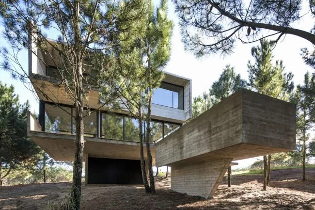 BIM Architecture | Light and Shadow Dance, Simple Forest Dwelling Like Wood and Stone/Luciano Kruk