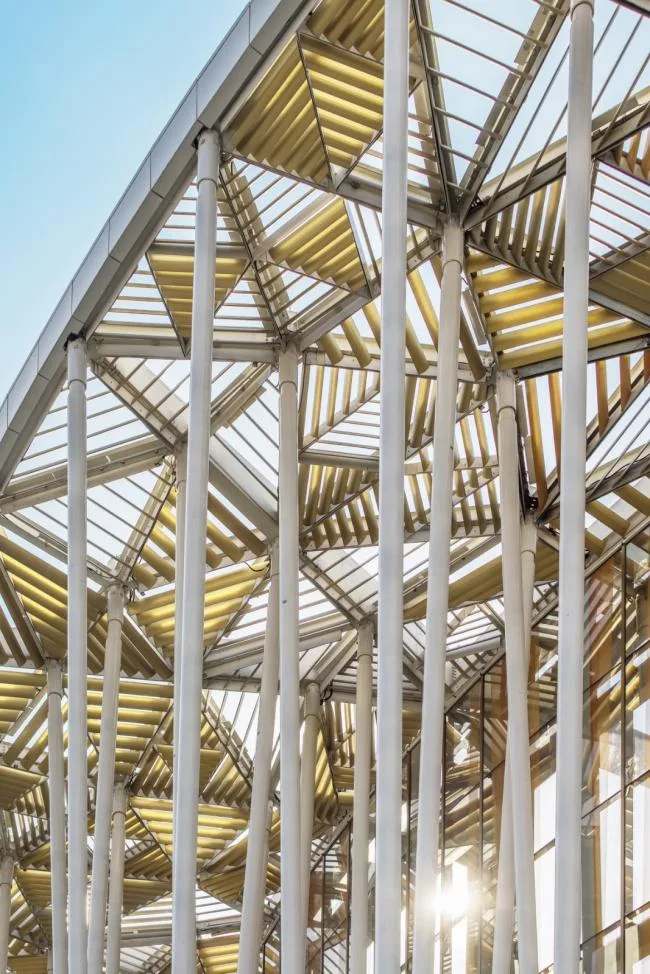 BIM Architecture | "Bamboo Forest" Walk: the Taihu Lake Lake Theater/SCA | Steven Chilton Architects