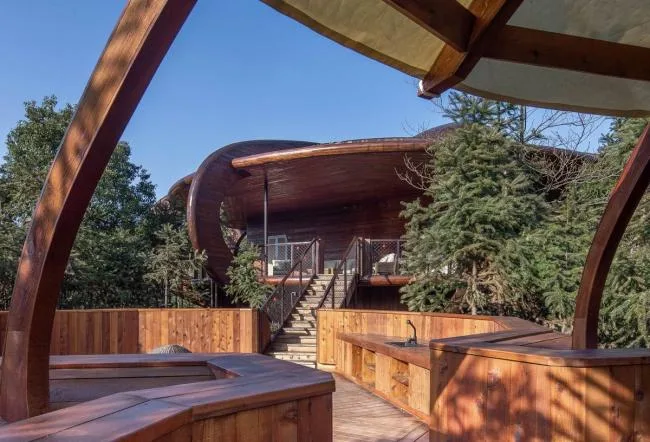 BIM Architecture | Like an Adventure in the Jungle: Anhui Qiyunshan Freedom Home Tree House "UFO"/Jinglan Architecture