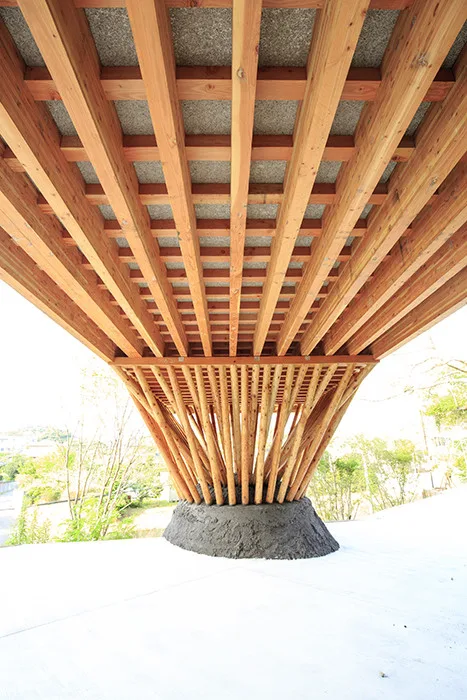 BIM architecture | V-shaped wooden houses embedded in terrain/ADX