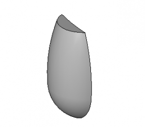BIM Data: Revit Family Library – Radish Head.rfa-BIM WORLD