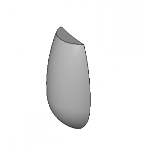 BIM Data: Revit Family Library – Radish Head.rfa