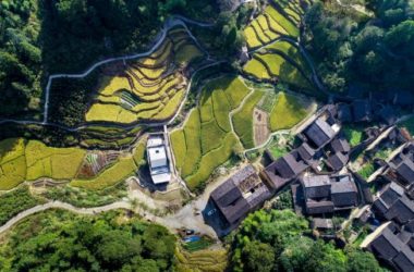 BIM Architecture: Exploring the Stunning Pioneer Xiadi Shuitian Bookstore by TAO Architectural Firm, 2019's Most Beautiful Bookstore-BIM WORLD