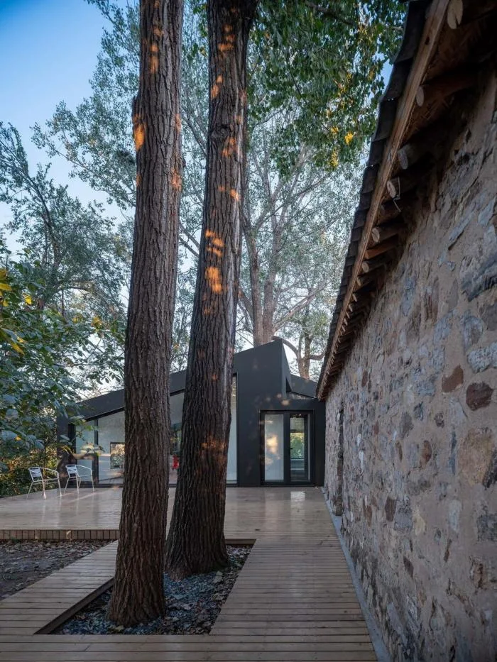 BIM Architecture | Shuxiayuan, Zhangjiazhuang Village, Beijing/Spatial Evolution