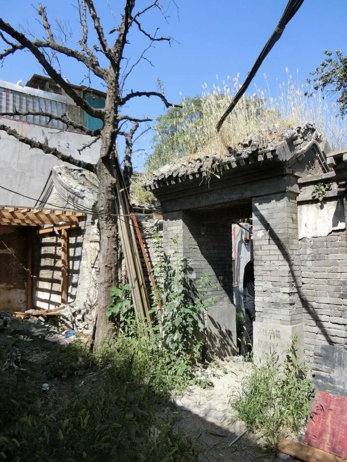 BIM Architecture | Qishe Courtyard/Architectural Camp Design Studio