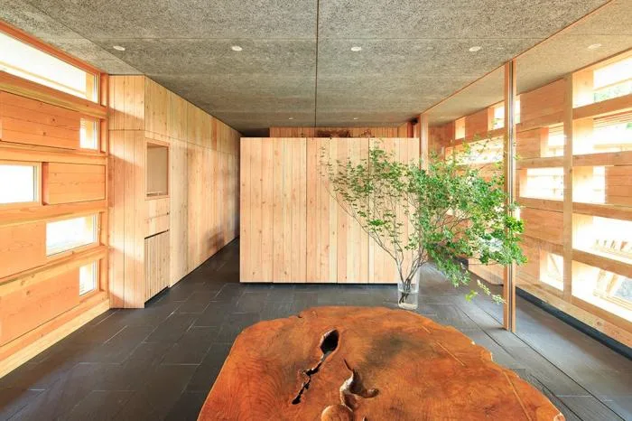 BIM architecture | V-shaped wooden houses embedded in terrain/ADX