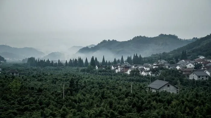 BIM Architecture | Far View of Smoke and Cooking Houses at the Foothills - Hangzhou Youji Boutique Homestay Hotel/Shihe Design Studio