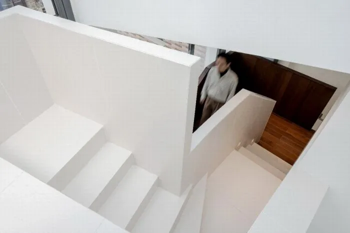 BIM Architecture | 2019 Dream Renovator - Heguang Residence/Tangwu Chen Kenwen Design Firm