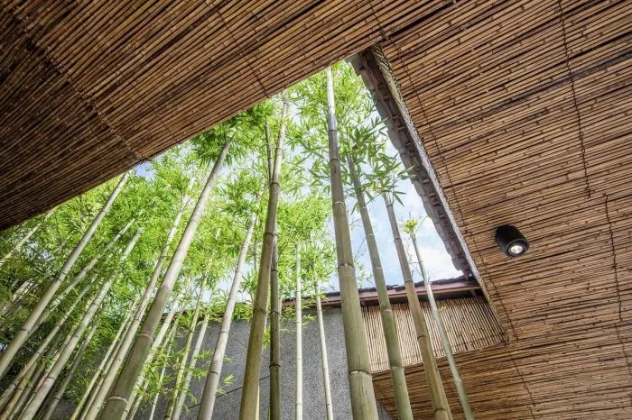 BIM Architecture | "Under the Same Roof": Xiaoshi Village Cultural Courtyard/Time and Space Architecture Studio