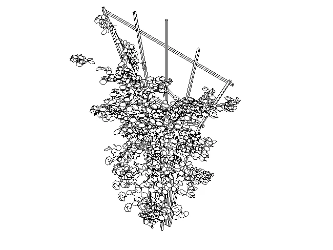 BIM Data | Revit Family Library - Architecture - Site Modeling Family - Plants (RFA, 49 in total)