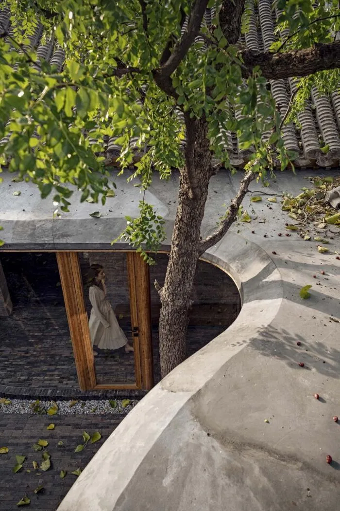 BIM Architecture | Qishe Courtyard/Architectural Camp Design Studio