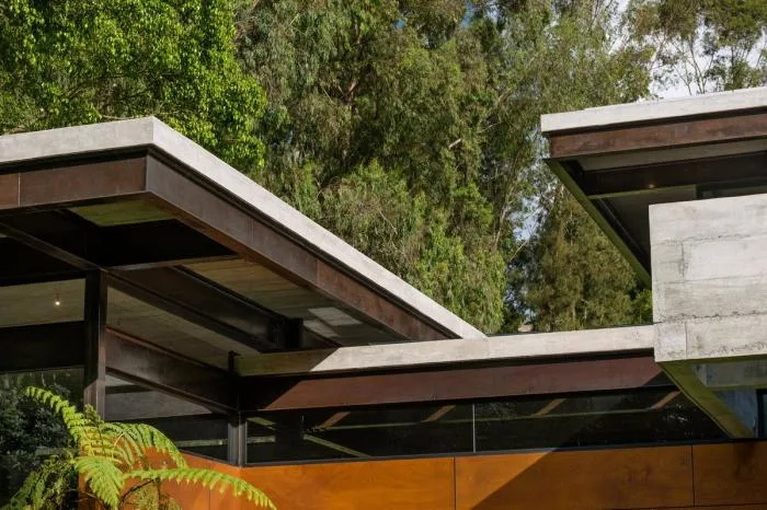 BIM Architecture | BF Home/Paz Arquitectura