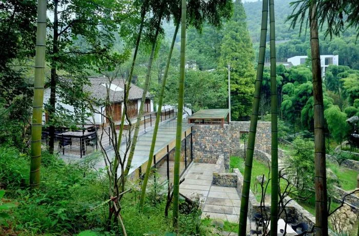 BIM Architecture | Hangzhou Bodhi Valley Resort Homestay/China Academy of Art Landscape Architecture Design and Research Institute