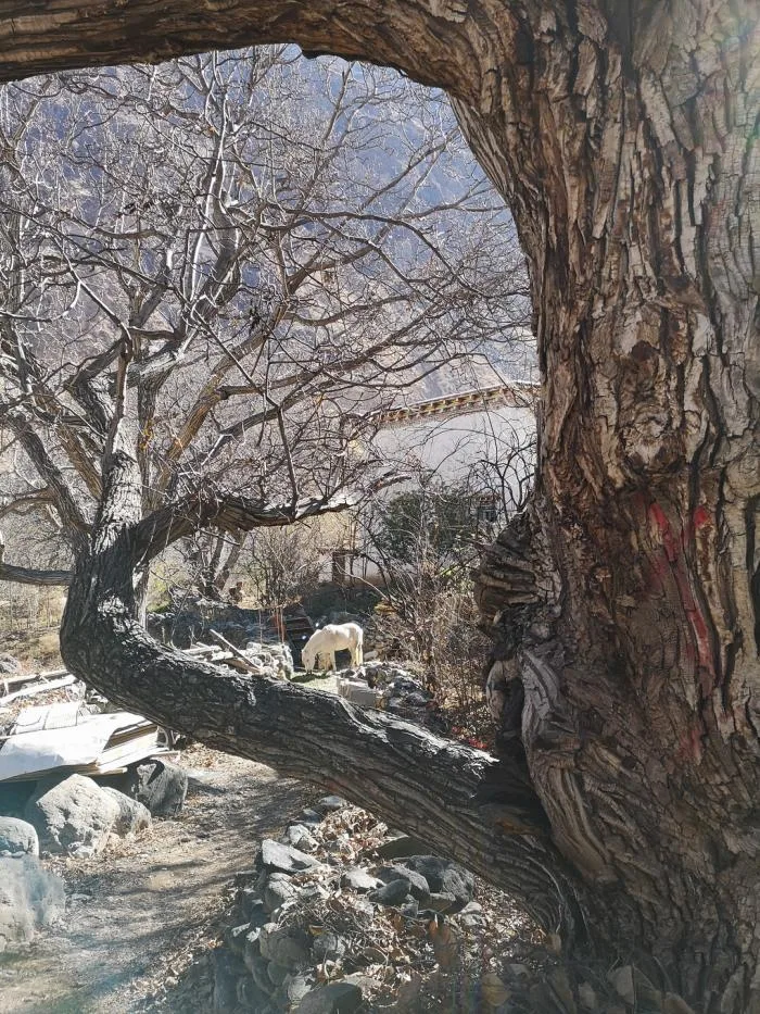 BIM Architecture | [Speech Scene] Taking Retreat as Progress/Wang Jianfeng